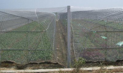 As redes antigeada desempenham um grande papel na proteção ambiental