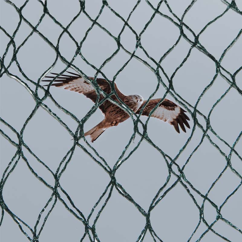 Quais são as escolhas materiais e as vantagens e desvantagens das redes de prevenção de aves?