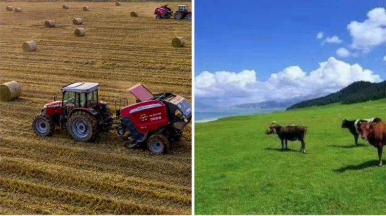 A aplicação de envoltório de rede em fardos em atividades agrícolas