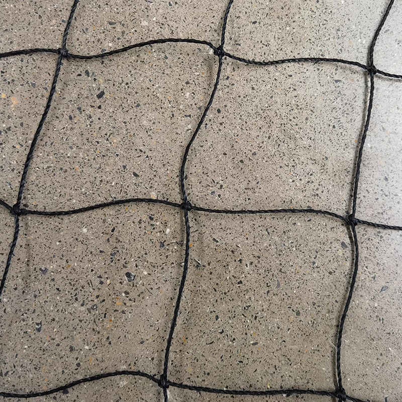 O papel das redes de críquete