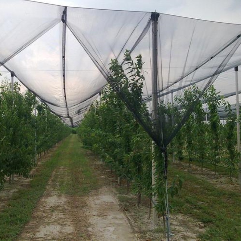 Rede anti-granizo de plástico agrícola