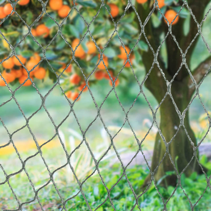 Barreiras para animais com rede para pássaros