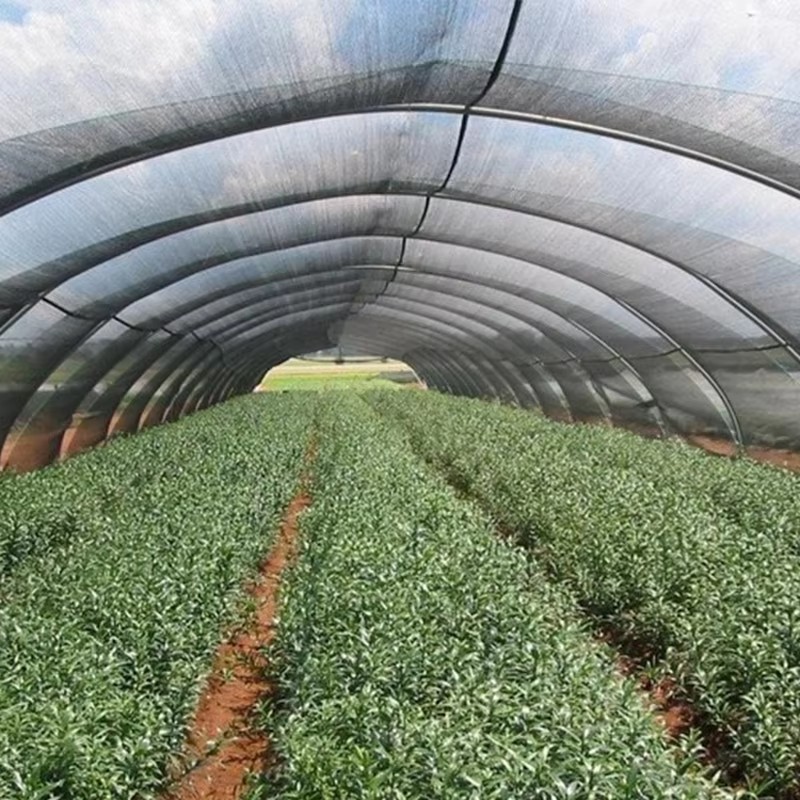 Pano de sombra de jardim para plantas com 40% de luz solar bloqueada