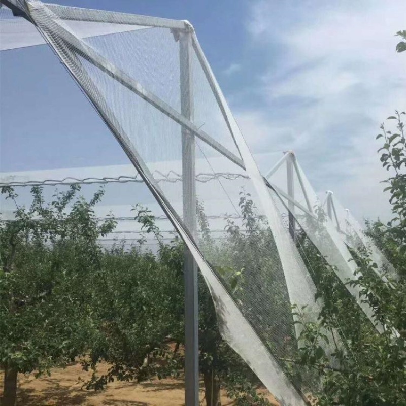 Rede anti-granizo para proteção de árvores